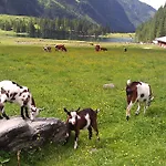 Chalet Gerlinde Ii Kaprun