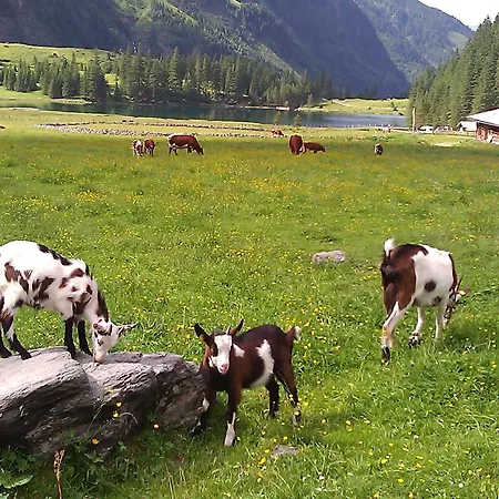 Chalé Gerlinde Ii Kaprun
